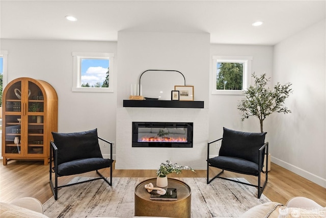 sitting room featuring wood finished floors, a glass covered fireplace, and a wealth of natural light