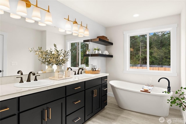 bathroom with wood finished floors, double vanity, a freestanding tub, and a sink