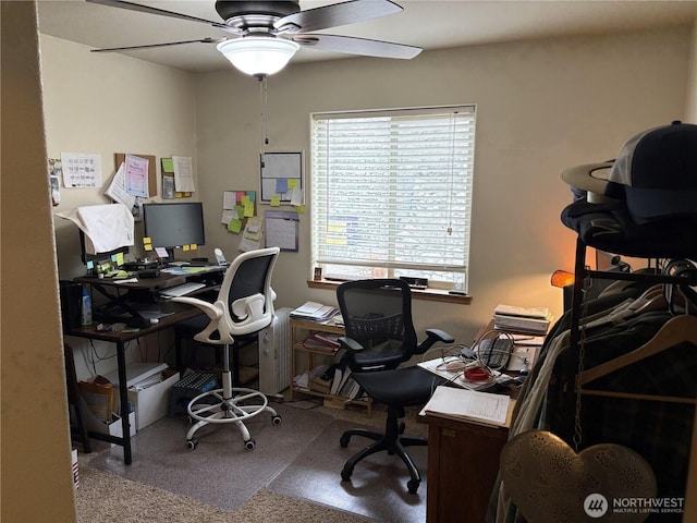 office area featuring a ceiling fan