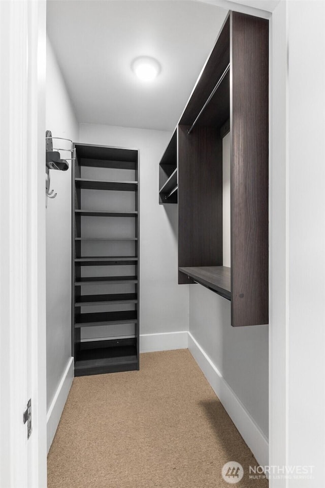 spacious closet featuring light colored carpet