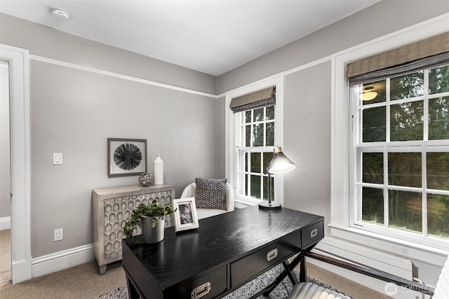 carpeted office space featuring a healthy amount of sunlight and baseboards