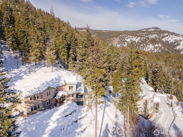 snowy aerial view featuring a mountain view and a view of trees