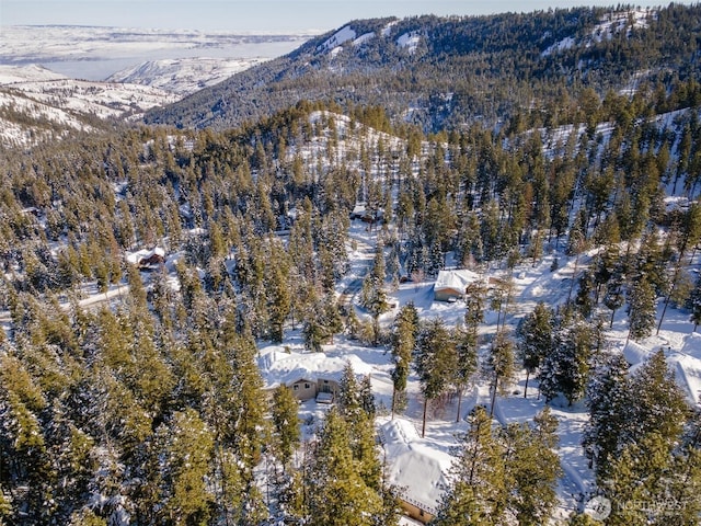 snowy aerial view with a mountain view and a view of trees