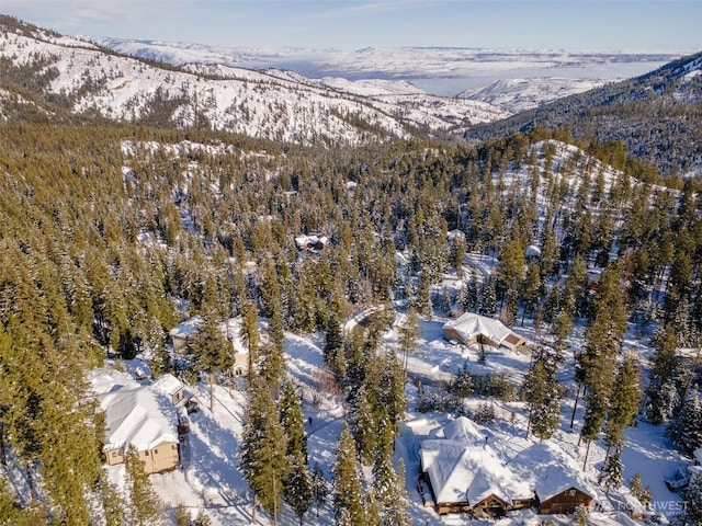 snowy aerial view with a mountain view