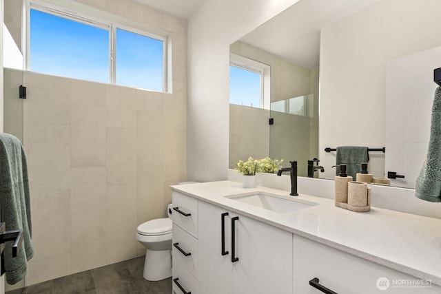 full bath featuring a stall shower, a healthy amount of sunlight, vanity, and toilet