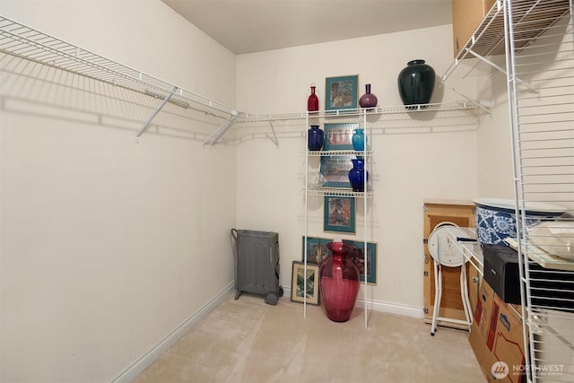 view of spacious closet