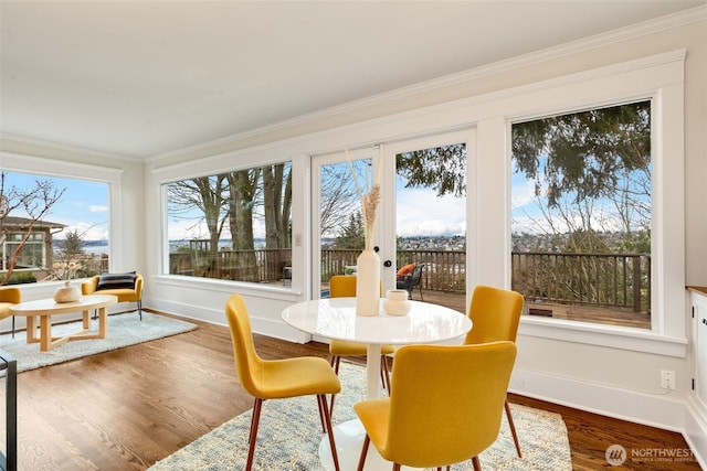 sunroom / solarium with french doors