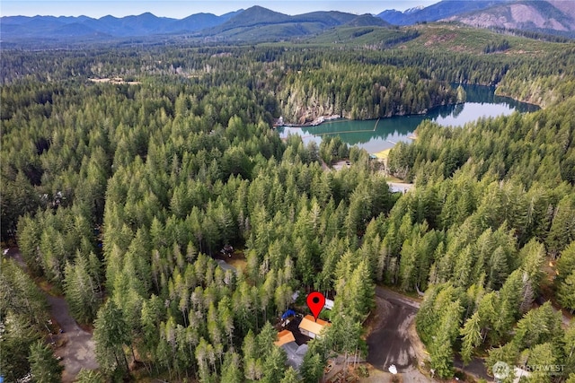 aerial view featuring a water and mountain view and a view of trees