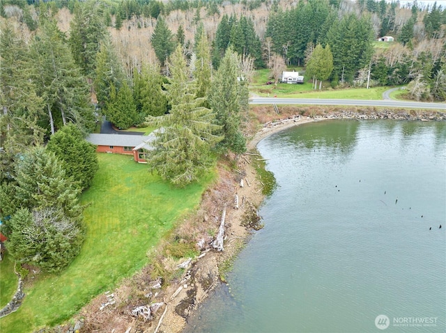 aerial view with a water view and a wooded view