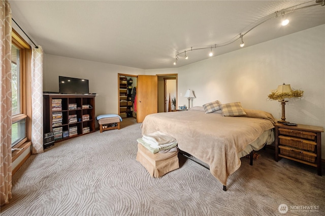 carpeted bedroom featuring track lighting