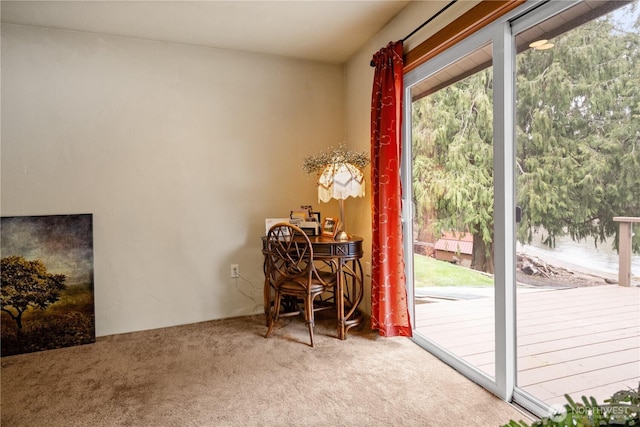 entryway featuring carpet