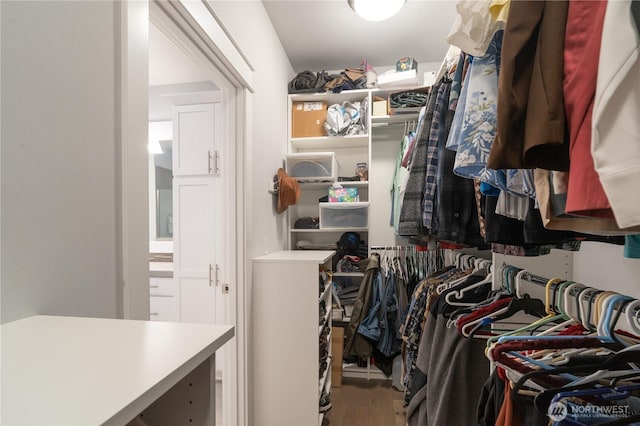 walk in closet with wood finished floors