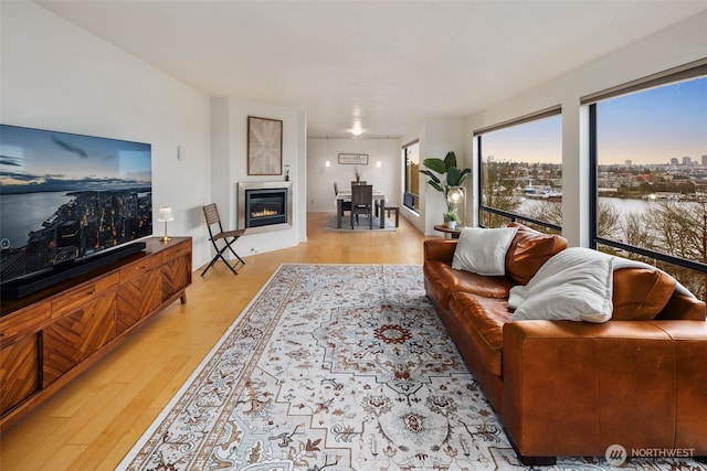 living room with light wood-type flooring and a glass covered fireplace