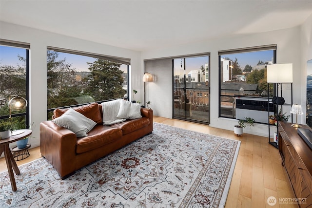 living area featuring light wood finished floors and plenty of natural light