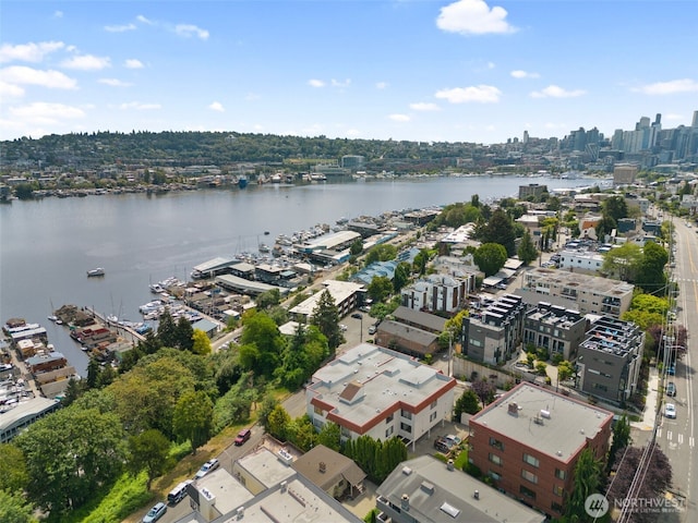 drone / aerial view with a water view and a city view