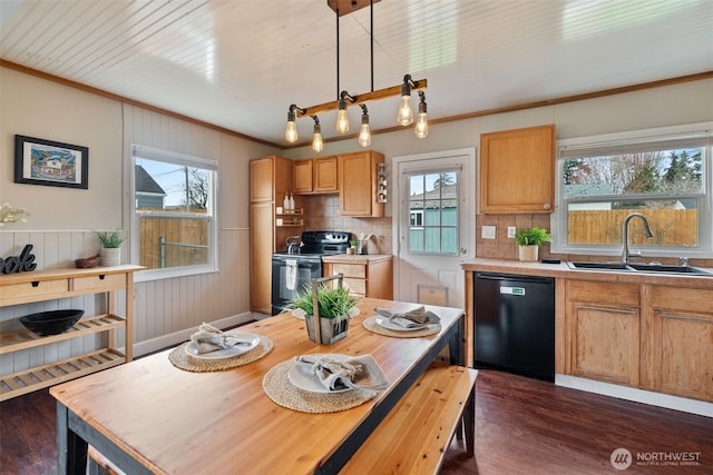 kitchen featuring black appliances, dark wood-style floors, a wealth of natural light, and a sink