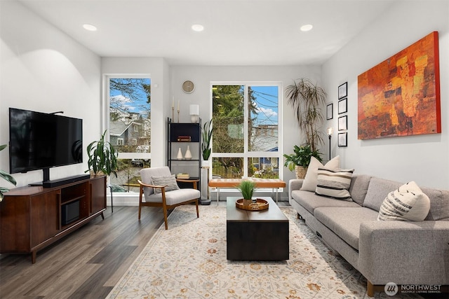 living room featuring wood finished floors and recessed lighting