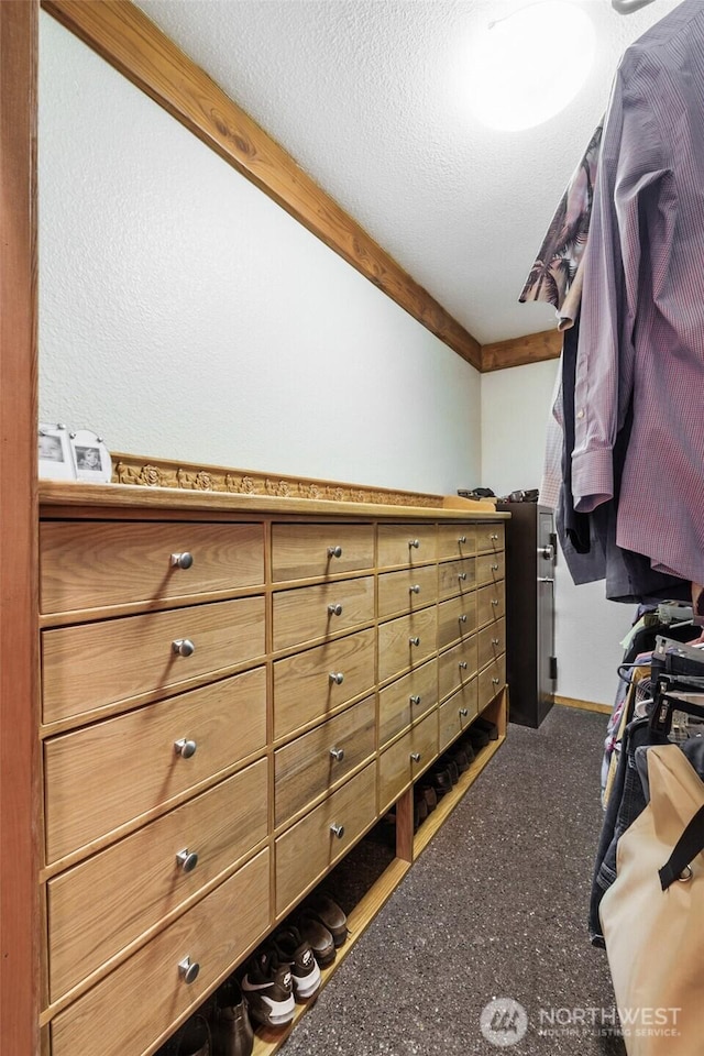 view of walk in closet