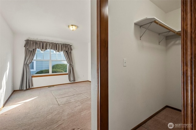 walk in closet with carpet floors