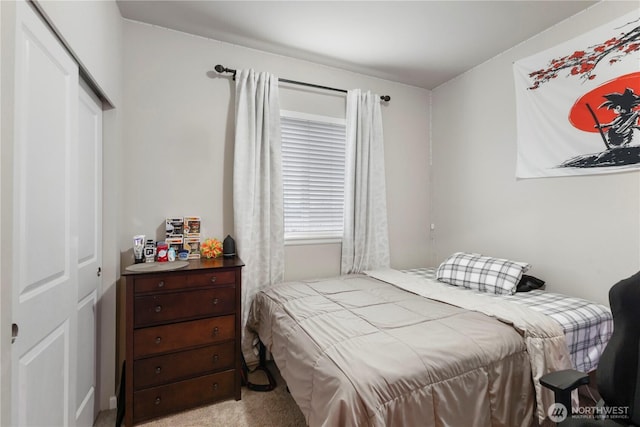 13019 SE 309th Pl, Auburn, WA 98092 - bedroom with a closet and carpet floors