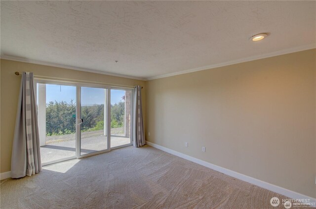 spare room featuring light carpet, baseboards, and a textured ceiling