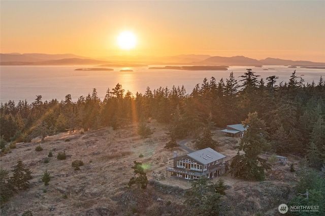 312 Stormridge Rd, Friday Harbor, WA 98250 - aerial view at dusk with a water and mountain view and a wooded view