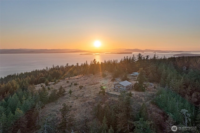 312 Stormridge Rd, Friday Harbor, WA 98250 - water view with a wooded view