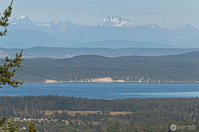312 Stormridge Rd, Friday Harbor, WA 98250 - water view with a wooded view and a mountain view