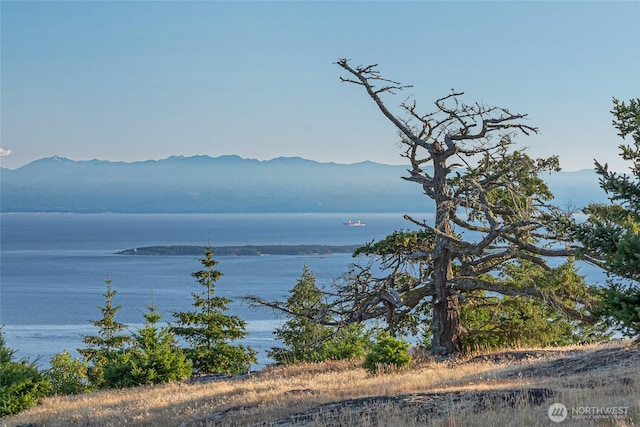 312 Stormridge Rd, Friday Harbor, WA 98250 - view of water feature with a mountain view