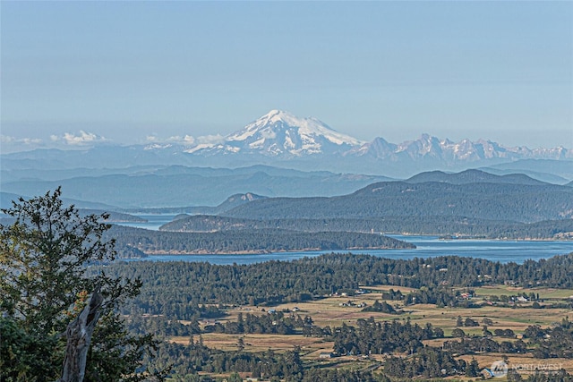 312 Stormridge Rd, Friday Harbor, WA 98250 - property view of mountains with a water view and a forest view