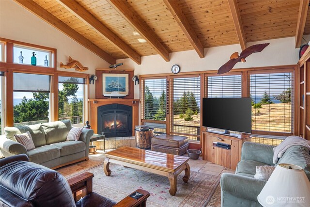 312 Stormridge Rd, Friday Harbor, WA 98250 - living area with wooden ceiling, lofted ceiling with beams, and a glass covered fireplace