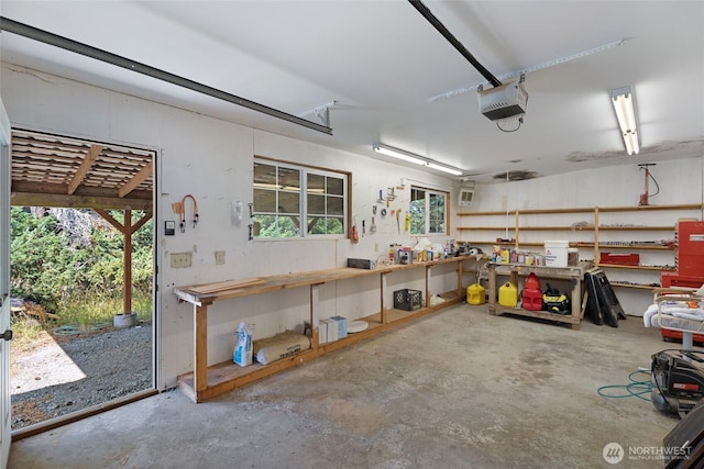312 Stormridge Rd, Friday Harbor, WA 98250 - garage with a garage door opener and a workshop area