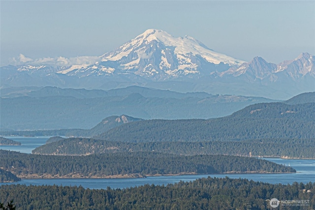 312 Stormridge Rd, Friday Harbor, WA 98250 - mountain view with a water view and a forest view