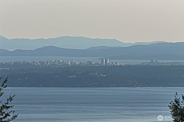 312 Stormridge Rd, Friday Harbor, WA 98250 - property view of water featuring a mountain view