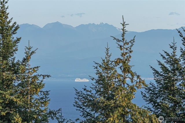 312 Stormridge Rd, Friday Harbor, WA 98250 - property view of mountains featuring a water view