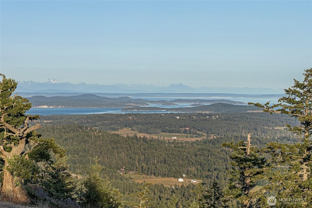 312 Stormridge Rd, Friday Harbor, WA 98250 - property view of mountains featuring a wooded view