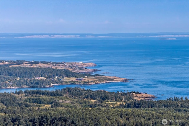 312 Stormridge Rd, Friday Harbor, WA 98250 - drone / aerial view with a water view and a forest view