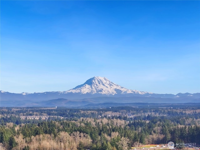 property view of mountains featuring a view of trees