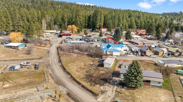 0 Blue Agate Ln, Ronald, WA 98940
