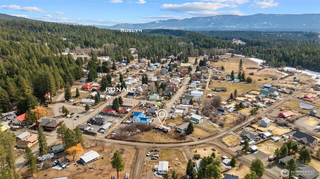 0 Blue Agate Ln, Ronald, WA 98940