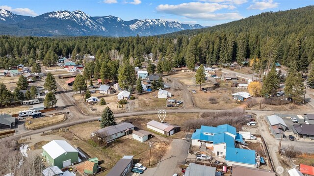 0 Blue Agate Ln, Ronald, WA 98940