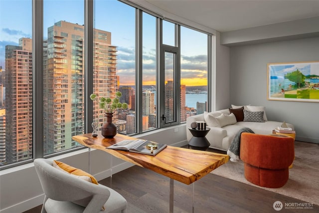 interior space with a city view, plenty of natural light, and wood finished floors