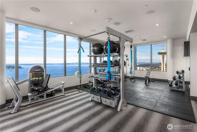 workout area featuring dark wood-type flooring, a wealth of natural light, and a water view