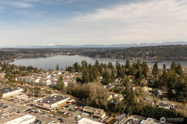 birds eye view of property with a water view and a forest view