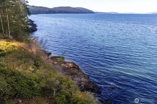 water view featuring a mountain view