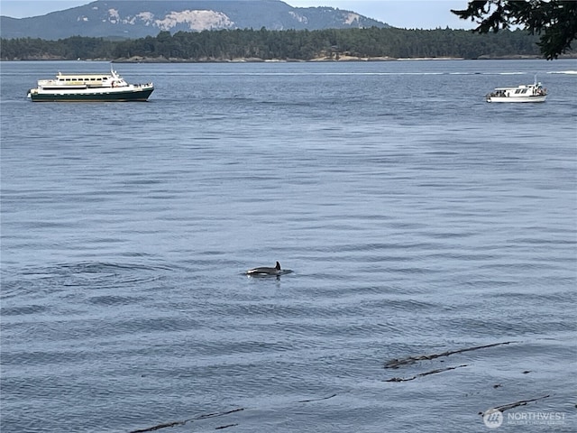 property view of water featuring a dock and a mountain view