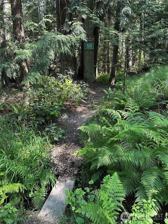 453 Point Caution Rd, Friday Harbor, WA 98250 - photo 36