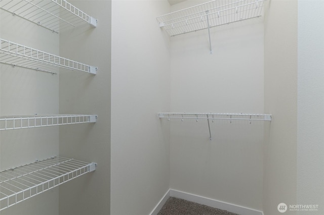 spacious closet featuring carpet flooring