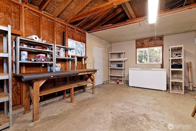 basement with fridge