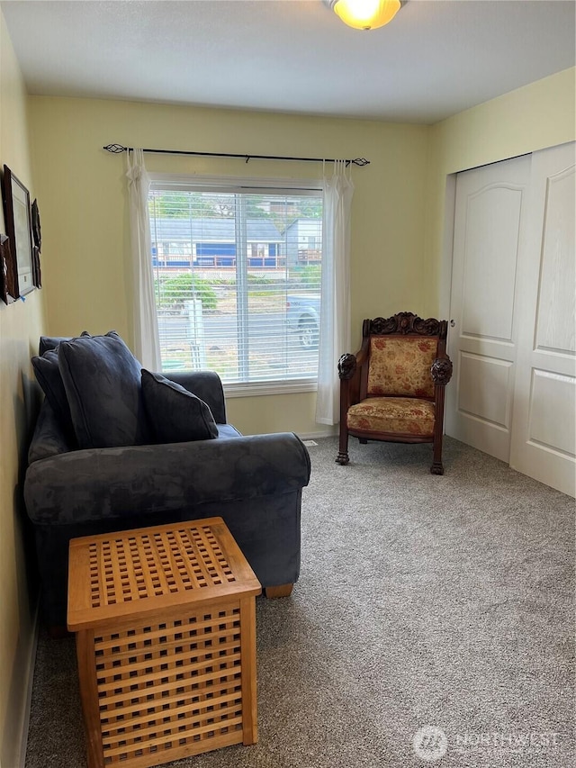 living room featuring carpet flooring